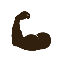 筋肉のアイコン